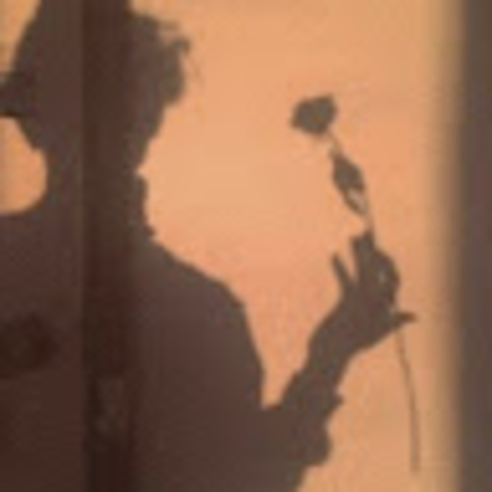 Meet your Posher, Lux